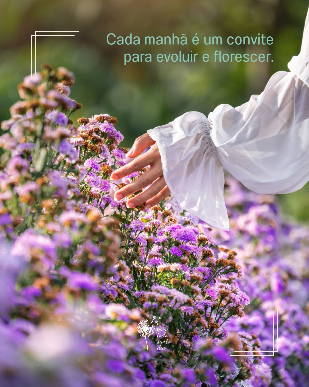 #ParaTodosVerem - mão de mulher tocando jardim com flores na cor lilás. A mulher veste blusa branca de manga longa.